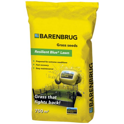 Barenbrug resilient blue lawn