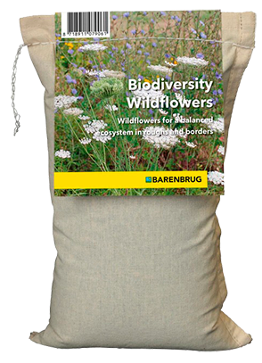 Biodiversity Wildflowers