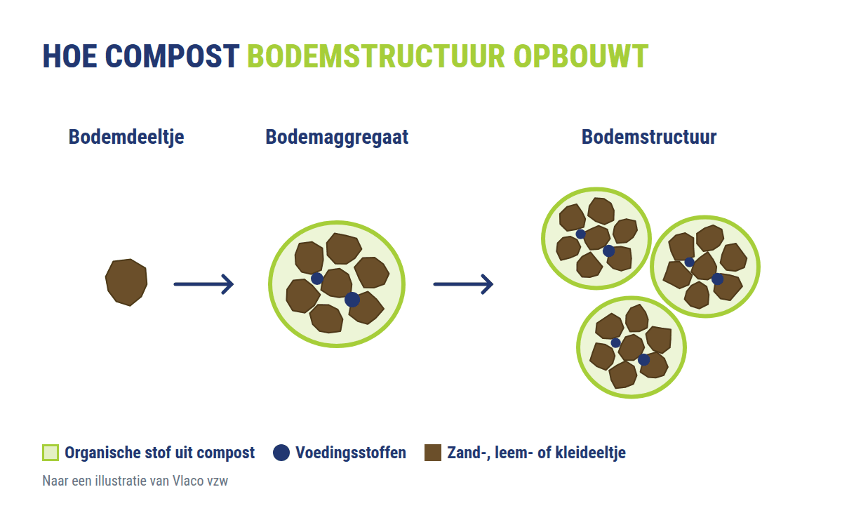 Hoe compost bodemstructuur opbouwt: van bodemdeeltje tot bodemaggregaat en bodemstructuur