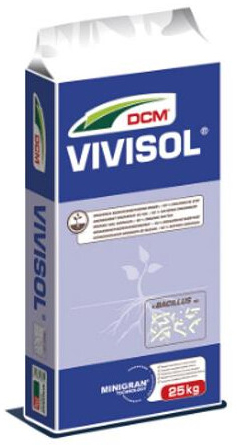 DCM Vivisol