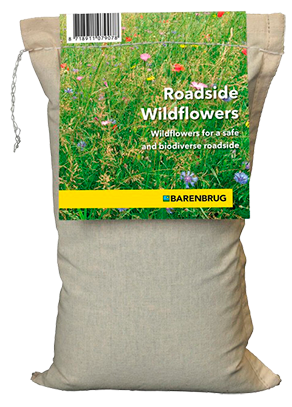 Roadside Wildflowers