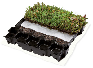 Herbaroof 60/40 Sedumcassette