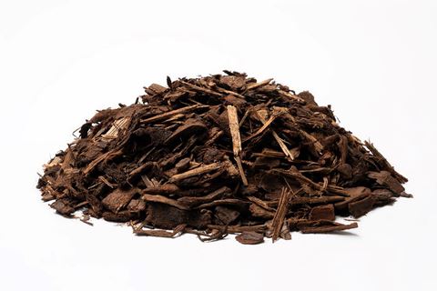 boomschors pin sylvester