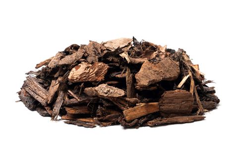 boomschors pin sylvester 20/40