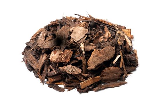 20/40 boomschors pin sylvester