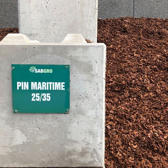 Pin Maritime 20/40