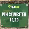 Pin Sylvester 10/20